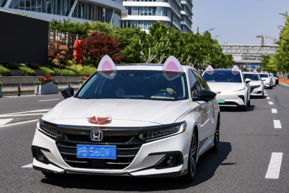 　滴滴宠物出行保障车队接驾中