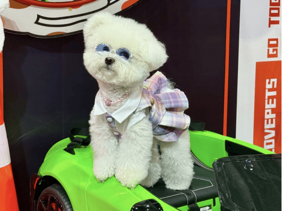 　毛孩子们在滴滴展区打卡留影