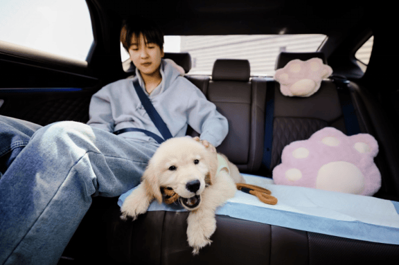 滴滴宠物出行保障车队接驾中