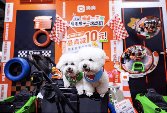 万光证券 滴滴宠物出行：已有近200万只宠物完成档案注册 犬类占比超六成