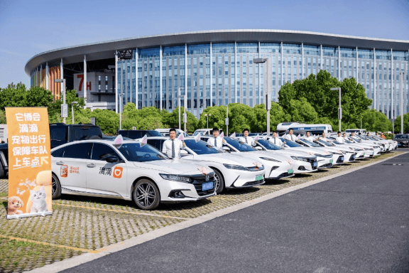 滴滴宠物出行保障车队等待接驾中